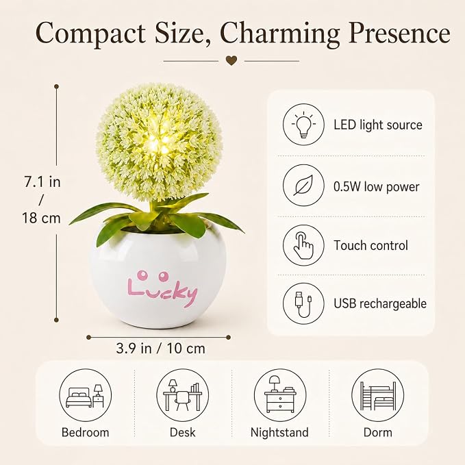 Dandelion LED Night Light,Rechargable Flower Bonsai Desk Lamp with Ceramic Base,Stepless Dimmable & Touch Control Accent Light,Aesthetic Room Decor for Bedroom,Dorm,Gifts for Girls Women (White)