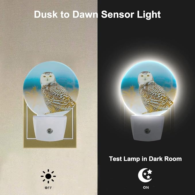 Snowy Owl Night Lights Plug into Wall Bird in Wild LED Dusk to Dawn Plug-in Nightlight Auto Sensor for Bedroom Bathroom Hallway Living Room