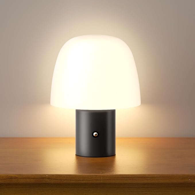 CHLORANTHUS Portable LED Table Lamp, Cordless Desk Lamp Rechargeable, 3-Color Touch Stepless Dimming Night Light for Bedroom/Children's Room/Terrace/Dining Room/Cafe (Black)