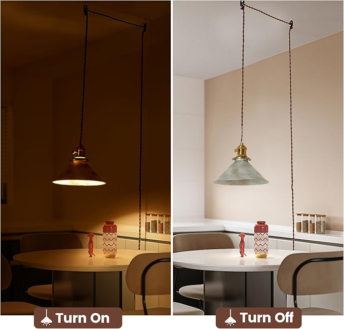 Hanging Lights with Plug in Cord Antique Silver Cage Industrial Pendant Light On/Off Switches Distressed Vintage Metal Finish Hanging Lamp for Farmhouse, Loft & Cafe Lighting
