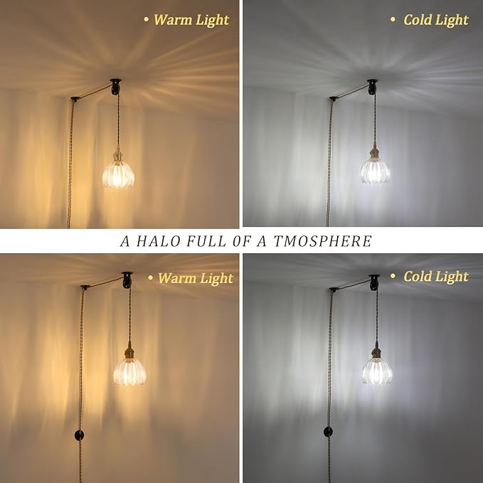 Plug in Pendant Light Hanging Light Fixture Corded On/Off Switch Brass Pendant Light with Clear Tulip Glass Lampshade for Bedroom Living Room Kitchen Island