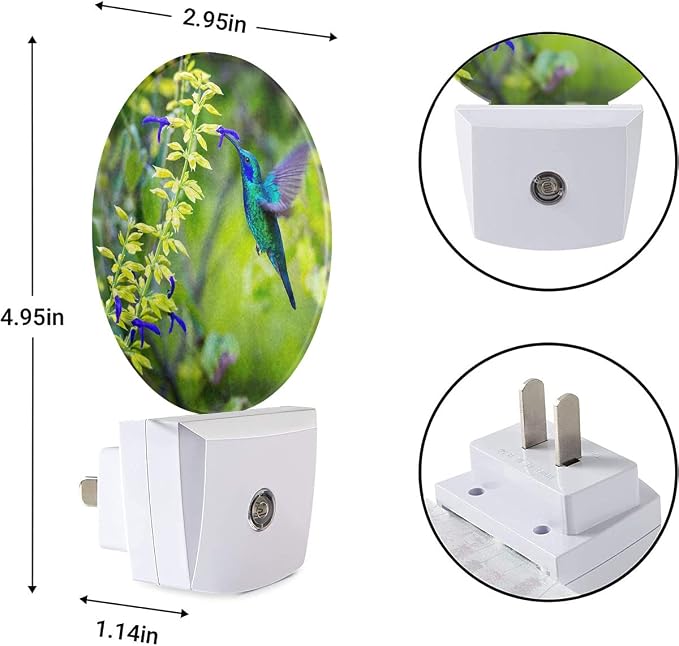 EKOBLA Hummingbird Night Light, Spring Garden Bird and Flower Night Lights Plug Into Wall with Auto Sensor for Home Indoor Decor