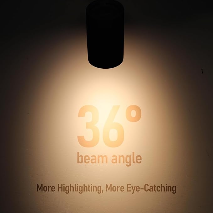 LEONLITE Small Space Series 8.5W LED H Track Lighting Heads, ETL Listed, Dimmable H Track Light Heads for Store Shop Cafe, CRI90, H Track Lighting, 5CCT, Matte Black, Pack of 4