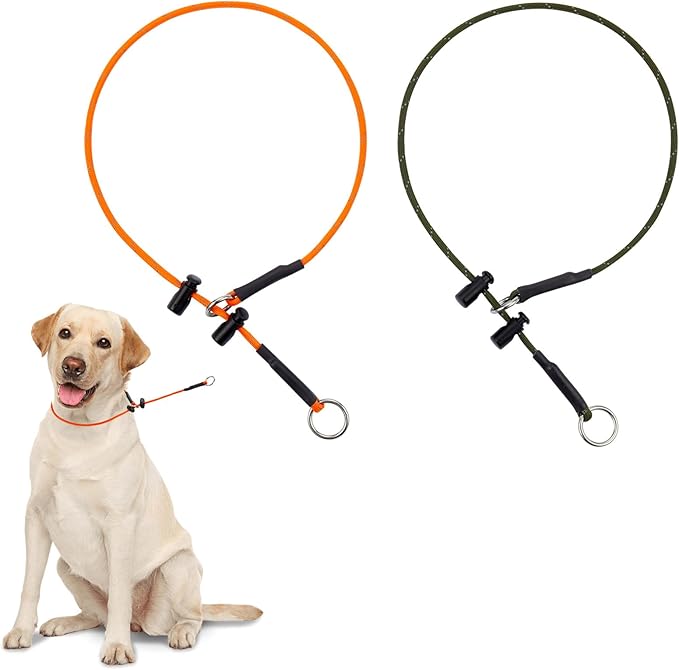 22" Dog Slip Collar – 5/32" Paracord Rope Dog Collar with Spring-Loaded Stopper & Stainless Steel O-Ring, Reflective for Low-Light Visibility(Army Green & Orange)