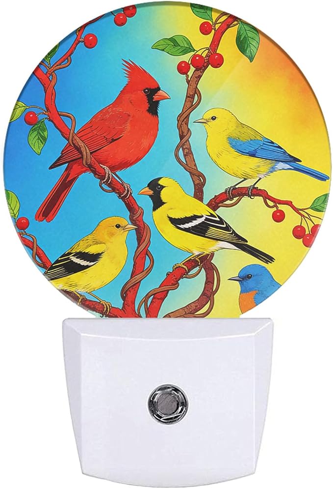 Lovely Bird Lamp Parrot Night Light Parrot with Colourful Feather Night Lights Plug into Wall for Boys Girls, Plug-in Nightlight 0.5W LED Lighting for Stairway Hallway Bedroom