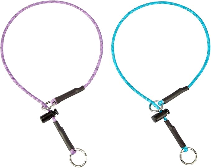 16" Dog Slip Collar – 5/32" Paracord Rope Dog Collar with Spring-Loaded Stopper & Stainless Steel O-Ring, Reflective for Low-Light Visibility (Light Blue & Purple)