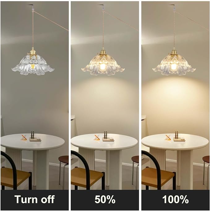 Plug in Pendant Light Fixtures,Hanging Light Fixture Flower Transparent Glass Pendant Light 11 inch E26 Pendant Lighting for Kitchen Island, Bedroom, Dining Room, Living Room