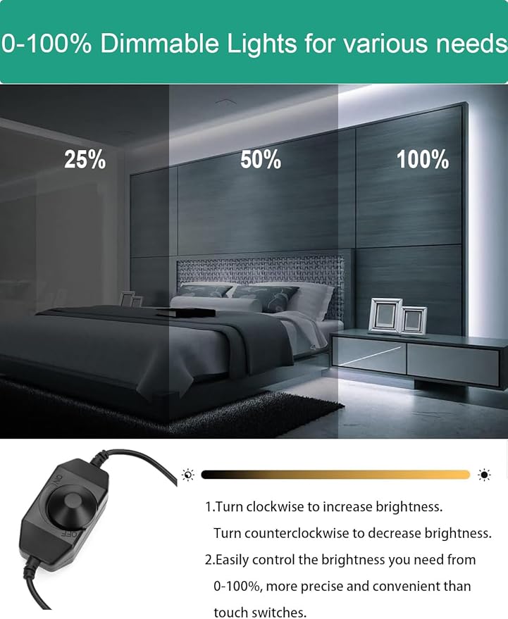 Neon Rope Lights 32.8ft, 6000K White Dimmable LED Strip Lights, 24V Flexible Cuttable IP67 Waterproof LED Rope Lights for Bedroom Indoor Outdoor (Power Adapter Included)