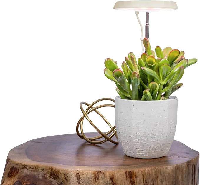AeroGarden Stem Grow Light for Indoor Plants, Grow Live Plants Anywhere in The Home, Adjustable Light Modes, Cream