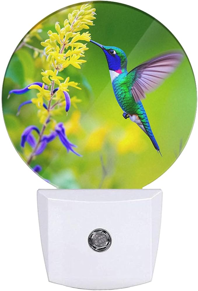 EKOBLA Hummingbird Night Light, Spring Garden Bird and Flower Night Lights Plug Into Wall with Auto Sensor for Home Indoor Decor