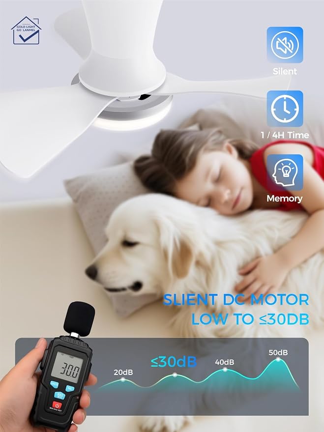LANMEL Metal Ceiling Fan with Lights and Remote, 22 Inch, Silver & White | Modern Low Profile Flush Mount, Reversible, 3CCT Dimmable, Quiet, LED, For Bedroom, Living Room, Indoor/Outdoor Patio Use