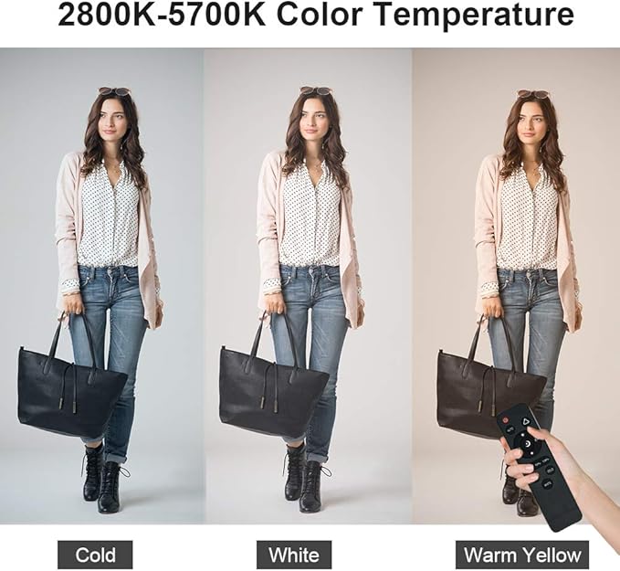 MOUNTDOG Softbox Lighting Kit, 2x19.7"x27.5" Photography Continuous Lighting System with 2pcs 85W 5700K E27 Socket LED Bulbs and Remote for Portrait Product Fashion Photography
