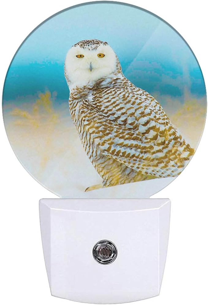 Snowy Owl Night Lights Plug into Wall Bird in Wild LED Dusk to Dawn Plug-in Nightlight Auto Sensor for Bedroom Bathroom Hallway Living Room