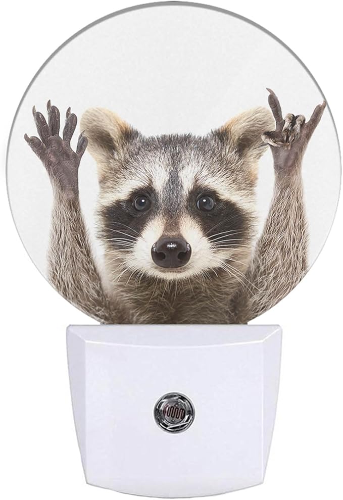 EKOBLA Raccoon Night Light Cute Animal Raccoon with Cool Rock N Roll Pose Night Lights Plug into Wall Auto Sensor Fun Funny LED Round Lamp for Men Women Boys Girls