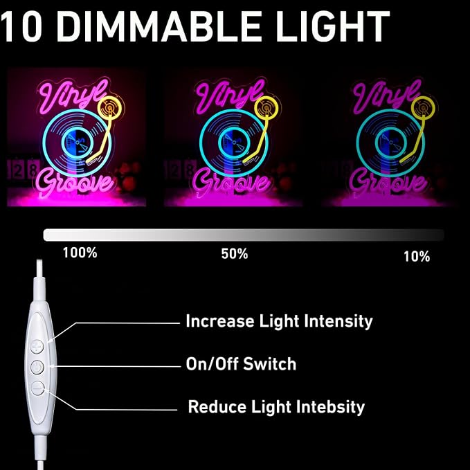 Vinyl Record Groove Neon Sign Music Neon Sign for Wall Decor, Dimmable LED Neon Light for Studio Bedroom Bar Man Cave, Retro Music Wall Art Gift for DJ or Music Lover