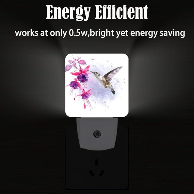 Groovy Hummingbird Flowers Night Light,Plug Into Wall for Boys Girls Bedroom Decorative Square Night Light Lamp 0.5w Sleep Friendly