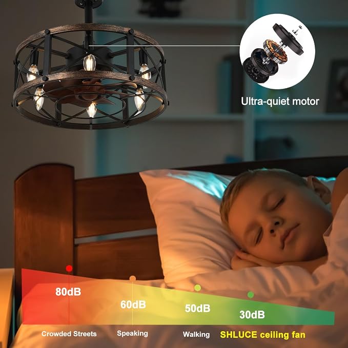 SHLUCE 19 Inch Farmhouse Fandelier with Light, ETL Listed | Remote Controlled, Bladeless Fandelier Design, Quiet Operation, Energy Efficient, Ideal for Bedroom & Kitchen Indoor Use