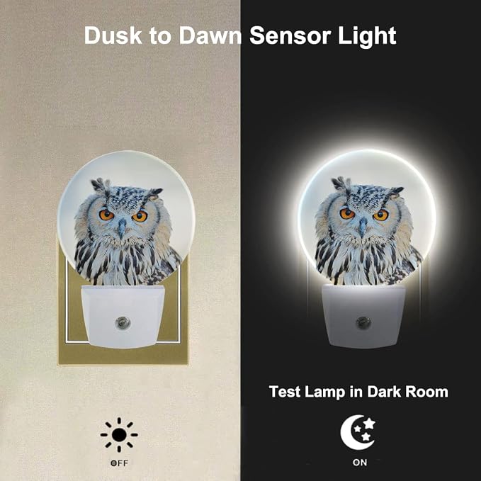 Watercolor Bird Night Light White Owl Night Lights Plug into Wall 0.5W LED Lighting Auto on/Off for Hallway Stairway Kitchen Home Decor