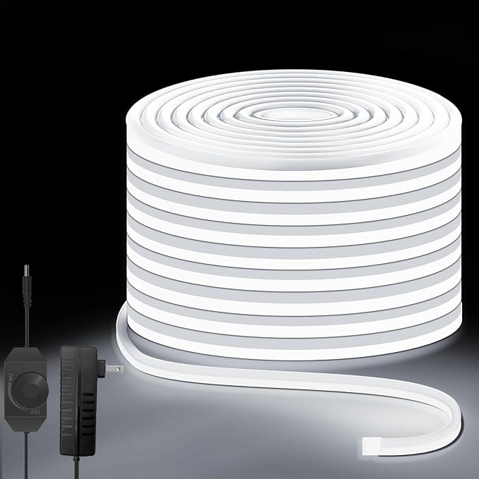 Neon Rope Lights 32.8ft, 6000K White Dimmable LED Strip Lights, 24V Flexible Cuttable IP67 Waterproof LED Rope Lights for Bedroom Indoor Outdoor (Power Adapter Included)