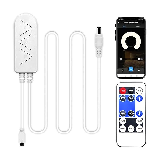 1-Way WiFi Smart Dimmer Switch with IR Remote for Single Color LED Strip Lights Compatible with Alexa and Google, DC 12-24V Controller for 3528/2835/5050/COB LED Strip Light with DC Plug