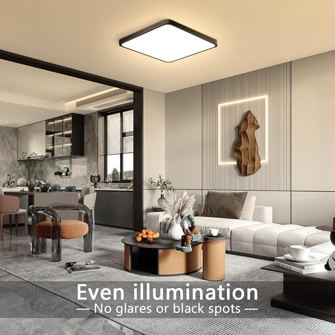 12Inch 24W Square LED Ceiling Light Fixtures Flush Mount, 3000K Warm White LED Ceiling Lamp, Surface Mount Modern Ceiling Lights, Slim Flat Panel Lighting for Bedroom, Kitchen, Bathroom Etc.Black