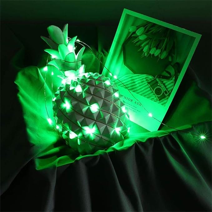 2 Pack Battery Operated Mini Led Fairy Light with Timer 6 Hours on/18 Hours Off for Christmas Decoration,30LED,10 Feet Silver Wire (Green Color)