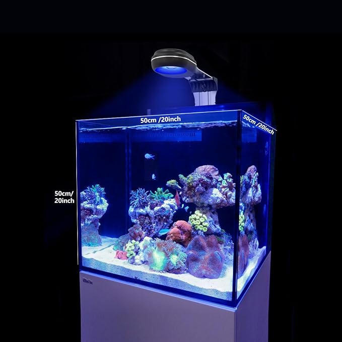 PopBloom NanoReef 65 Reef LED Light, Full Spectrum Marine Reef LED Aquarium Lighting for Soft/LPS Corals & Saltwater Fish Tanks, Built-in Timer, WiFi Phone Programmable, Sunrise Sunset