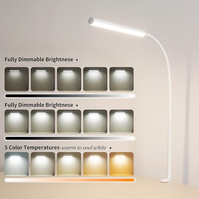 LED Desk Lamp for Office Home, Adjustable Flexible Eye-Caring Desk Light with,5 Modes 10 Brightness Adjustment, USB Adapter Desk Lamp with Clamp-LK-W