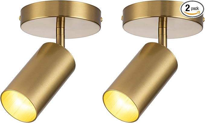 Gold Spot Lights Indoor 2 Pack LED Ceiling Spotlight Fixtures Adjustable 90° Anti-Glare Spotlight for Living Room, Paintings, Wall Art and Artwork, Warm White 3000K