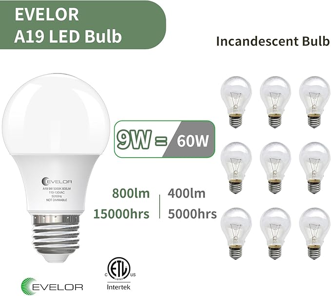 A19 LED Light Bulbs,60 Watt Equivalent Daylight 5000K with E26 Base,Efficient 9W,800 Lumens Non-Dimmable LED Bulbs,15000 Hours, Ideal for Bedroom Living Room, 4-Packs