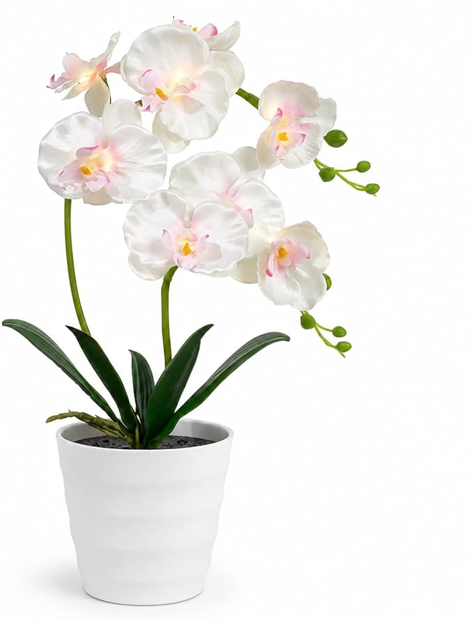 Orchid Artificial Flowers Lamp LED Night Light Home Decor | realistic orchid design, soft warm led glow, artificial flowers decor, night light, bedroom decor, desk lamp, home decoration
