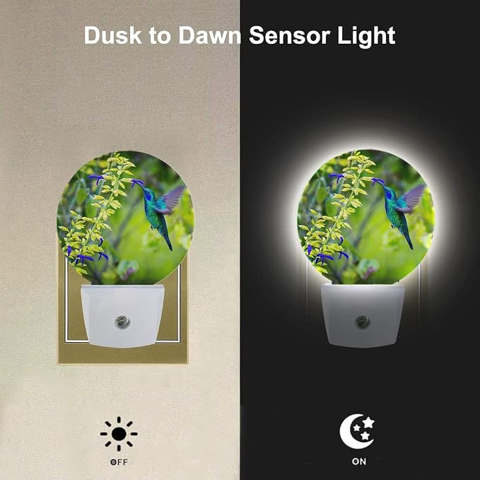 EKOBLA Hummingbird Night Light, Spring Garden Bird and Flower Night Lights Plug Into Wall with Auto Sensor for Home Indoor Decor
