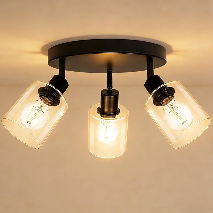 HiBay 3-Light Track Lighting Fixtures Ceiling Glass Directional Spotlight | Round 3 Heads with Glass Shades, Black Farmhouse Industrial, for Dining Area, Entryway, Closet, E26 Base