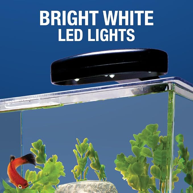 Tetra Cube 3 Gallon Starter Fish Tank Kit | Aquarium Kit Includes LEDs, 3 Gallon Acrylic Tank, Filter & Cartridge, For Small Tropical Fish, Guppies, Goldfish, or Betta