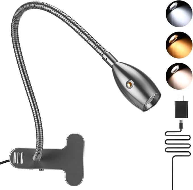 1 Pcs LED Clip on Reading Light for Bed Headboard, 3 Color Dimmable Stepless Book Light with Flexible Gooseneck Clamp Desk Lamp for Reading with USB for Bedroom, Dorms, Office, Studio (Silver)