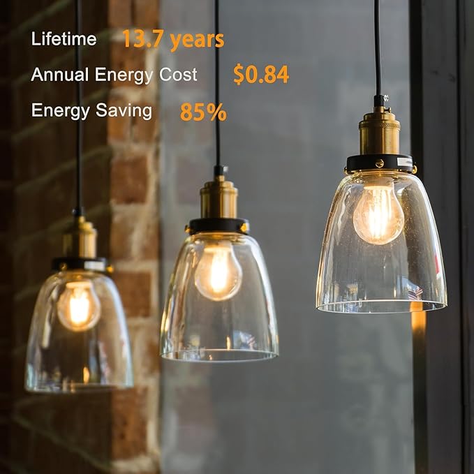 dalattin 24 Pack A19 Vintage LED Edison Bulbs, Dimmable, 60W Equivalent, High Brightness 2700K Soft White, 8W E26 Standard Base, 800 Lumens, CRI80+, Clear Glass Filament Bulb for Home