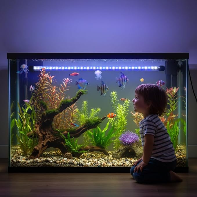 Dirvin LED Fish Tank Light with Timer, 24/7 Mode & 3 Color Aquarium Light | Submersible Adjustable Brightness, IP68 Waterproof, Sunrise-Daylight-Moonlight, Auto On/Off for fresh and salt water, 8W