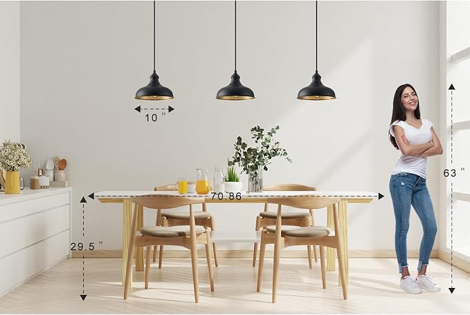 10in Dome Outdoor Pendant Barn Lights Black Kitchen Island Pendant Lamp with Brass Interior, Hallway Porch Ceiling Hanging Lights, Farmhouse Style Indoor Pendant Fixture for Home, Adjustable