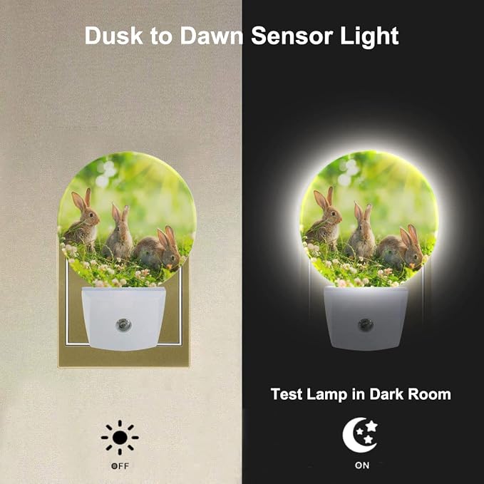 Easter Bunny Nightlight Cute Rabbits in Meadow Plug-in Nightlight Energy Saving 0.5W LED Lighting for Boys Girls Men Women Gift