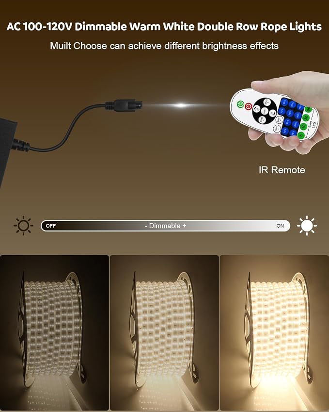 Aclorol 40M LED Rope Light Outdoor Waterproof Led Strip Light 131FT AC110V-120V Dimmable Double Row Warm White Plug in Rope Light with Remote for Outside Garden Patio Indoor Outdoor Backyards Decor