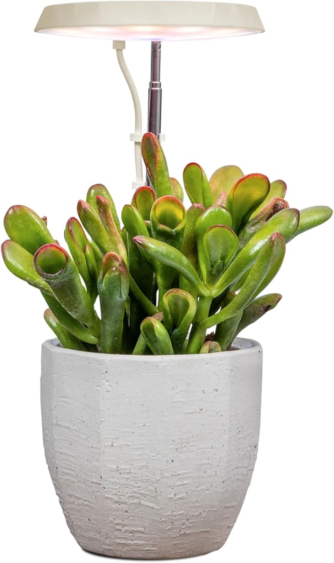 AeroGarden Stem Grow Light for Indoor Plants, Grow Live Plants Anywhere in The Home, Adjustable Light Modes, Cream