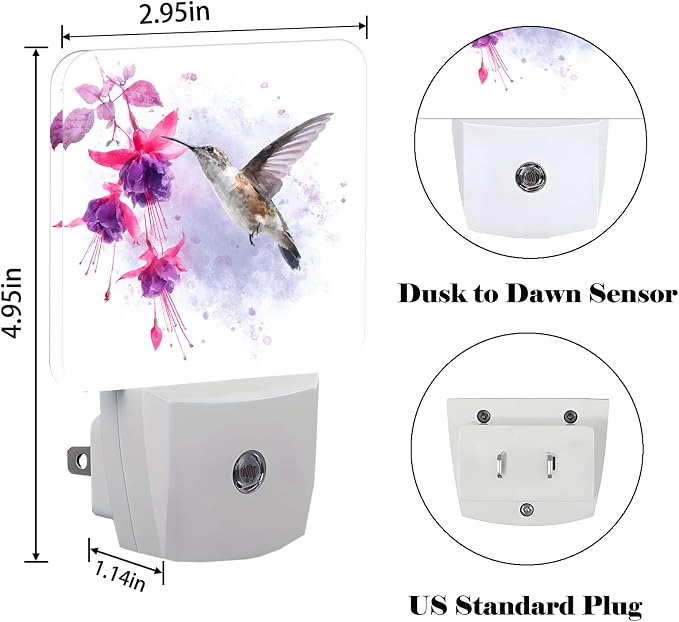Groovy Hummingbird Flowers Night Light,Plug Into Wall for Boys Girls Bedroom Decorative Square Night Light Lamp 0.5w Sleep Friendly
