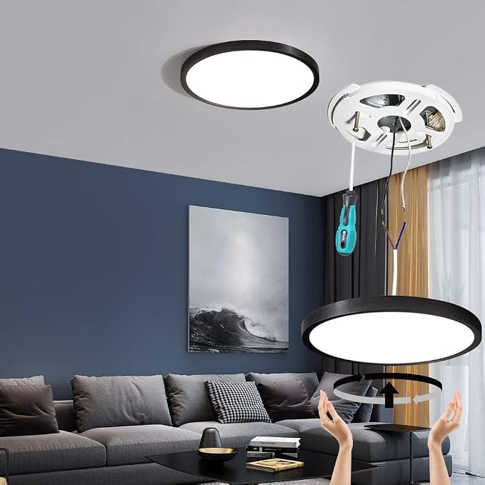 TALOYA 4-Pack 15.8" LED Flush Mount Ceiling Light Fixture,24W 5CCT,Black | 100–240 VAC Input,Edge-Lit LED Modern Ceiling Lamp for Living Room,Bedroom,Hallway,Kitchens