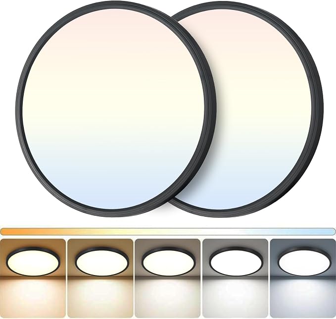 2Pack LED Flush Mount Ceiling Light: 12 inch Super Slim Dimmable & 5CCT (2700-6000K) Kitchen Lighting Fixtures Ceiling - 24W Black Low Profile Ceiling Lamp for Bedroom Garage Hallway