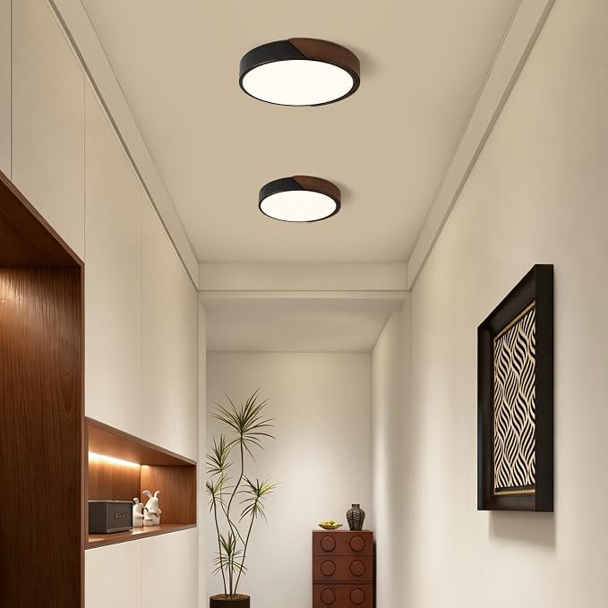 Modern LED Ceiling Light, Dark Walnut Wood Flush Mount Ceiling Light Fixture, Dimmable 5CCT Minimalist Circle Lighting Lamp with Acrylic Lampshade for Hallway Entryway Bedroom 11.8"