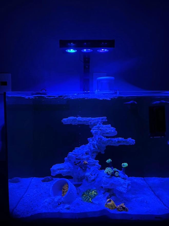 Aqua Knight A029 Reef Aquarium Light 30W, Full Spectrum Coral Light for SPS LPS Nano Tank, 2 Channels Dimmable with Timer Sunrise Sunset Moonlight, Fits 10–24 Inch Saltwater Tank
