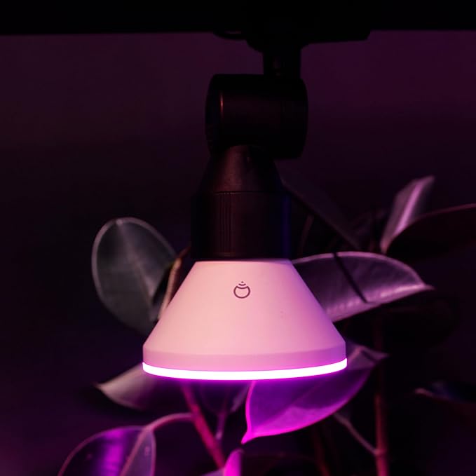 LIFX Color PAR38 Smart LED Bulb, 1600 Lumens, Indoor/Outdoor Can & Flood Light, Millions of Colors + Tunable White, IP65 Weatherproof, Wi-Fi, Works with Alexa, Google Home & Siri, LFXPAR381600RGBW