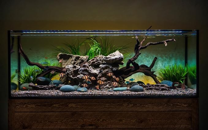 CURRENT USA 24-36" Satellite Color RGBW Full-Spectrum LED Aquarium Light - Freshwater, Wireless 24-Hour Timer, Adjustable Tank Mounts (4511)