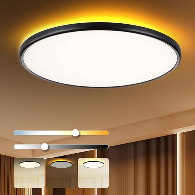 TALOYA Flush Mount Ceiling Light with Remote,3000K-6500K Adjustable,2000K Nightlight,18 Inch, Led Low Profile Ceiling Lights for Bedroom, Living Room, Kitchen, Black