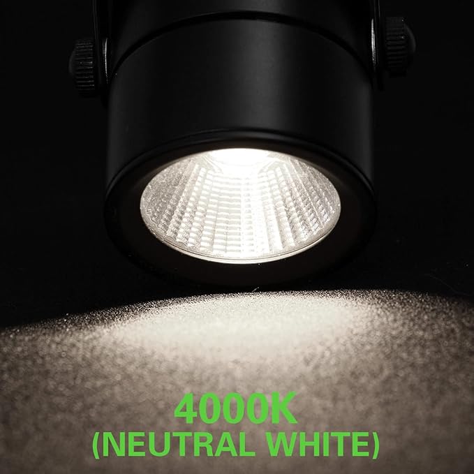 10W H Track Lighting Heads,Dimmable LED Track Light Heads for Accent Retail Artwork,4000K Netural White, Linear Track Light H Type - 120V 60°Angle Halo Type 12Pack (Black)